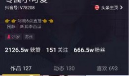 网红家庭大爆料视频播放,大爆料视频背后的真实生活